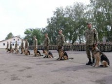 На Украине заставили присягнуть собак