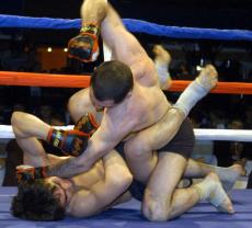 Общественность требует запретить бои без правил  в Британии