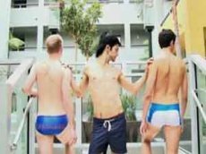 Калифорнийские геи перепели хит Кэти Перри