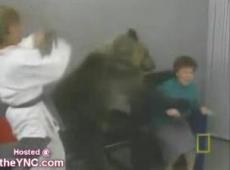 Медведь напал на телеведущую в прямом эфире