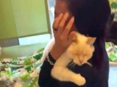 Видео с воссоединением хозяйки и кота после двух лет поисков стало вирусным