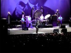 Известный музыкант прервал концерт из-за удара бутылкой