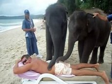 В Таиланде массаж делают … слоны!