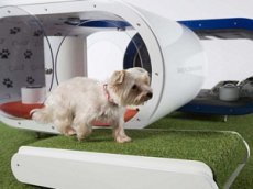 «Дом мечты» для собак за 30 тысяч долларов