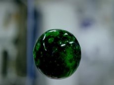 NASA провело эксперимент с водой и красками на борту МКС