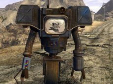 В Австралии испытали робота-пастуха для овец