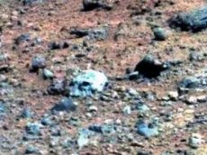 На Марсе нашли череп инопланетянина
сегодня