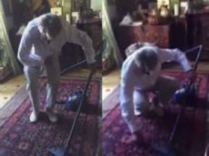 Ющенко с криком «Моль-скотиняка!» пропылесосил ковер