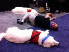 Люди и собаки объединились для борьбы с лишним весом