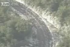 Студенты декорировали туалетной бумагой несколько километров автотрассы