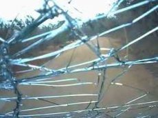 Cлон атаковал автомобиль с пассажирами