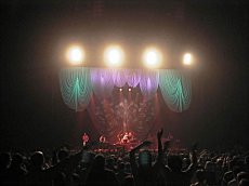 Гимн Януковича является плагиатом песни Тото Кутуньо