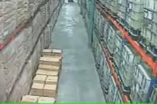 Коста-Рика: во время землетрясения на складе