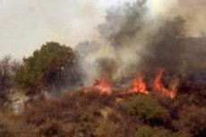 Голливуд охвачен огнем, а на Среднем Западе наводнение