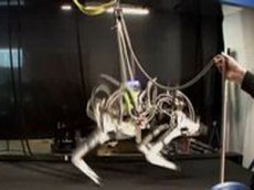 Робот-гепард установил мировой рекорд скорости