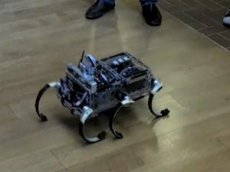 Новое видео шестиногого робота RHEX