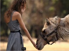 Девушка-верблюд стала лицом рекламы против наркотиков