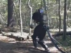 Робот-гуманоид прогулялся по лесу