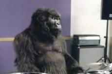 Первое место в Топ-5 вирусных видео 2007 года: «Gorilla Drummer» от  Cadbury