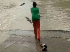 Женщина прогнала крокодила шлепанцем