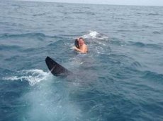 Парень прокатился на 9-метровой китовой акуле