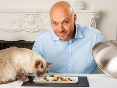 Омары и роллы с черной икрой для элитных английских кошек