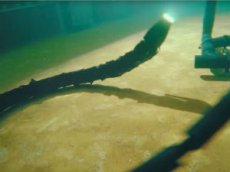 В Норвегии создали подводного робота-змею