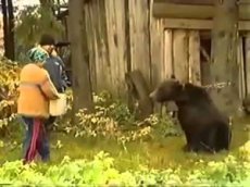 Сельчане отбили женщину у медведя