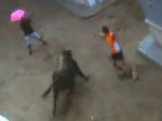 Бык атаковал пьяного мужчину с розовым зонтиком