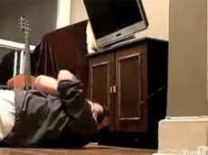 Кот-убийца уронил на хозяина телевизор