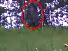 Норвежский охотник снял на видео «снежного человека»