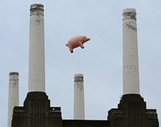 Pink Floyd снова запустил свинью