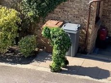 Ягудин притворился собакой и выполнил команды Тотьмяниной