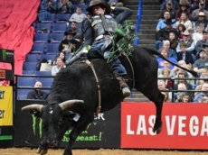 Бык убил одного из лучших наездников в мире на глазах у зрителей