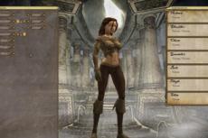 В Сети появился новый трейлер Chronicles of Spellborn