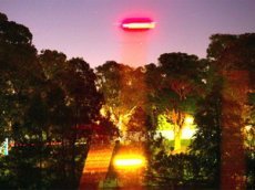 Рассел Кроуснял видео с НЛО