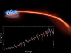 NASA показало разрушение звезды черной дырой