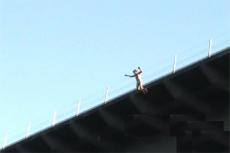 Житель Волгограда снял гибель друга-экстремала