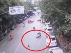 В Китае гусь упал с дерева и сбил мотоциклистку