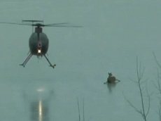Cпасатели сдули оленя со льдины вертолетом