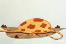 Откуда взялись жирафы: версия российских мультипликаторов