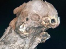 Ученые создали 3D-модель мумии мальчика XIII века