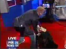 Американский ученый упал в обморок в прямом эфире