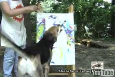 Собака-художница открывает новую галерею