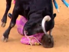 Бык проломил тореадору голову