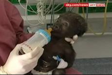 Необычного пациента доставили в мюнстерский госпиталь