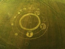 Активисты "написали" на поле "Путин крут"