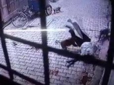 Нападение обезьян на мужчину попало на видео