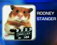 Разыскивается хомяк-убийца