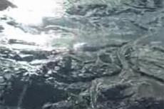 Экологическая катастрофа в Теннеси